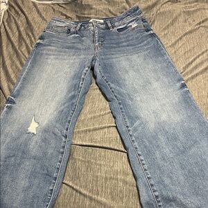 Stylish Light Blue Boyfriend Jeans